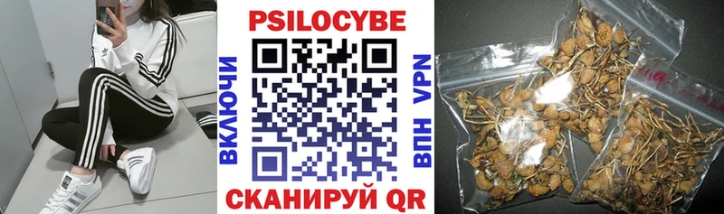 kraken сайт  Пудож  Псилоцибиновые грибы Cubensis 