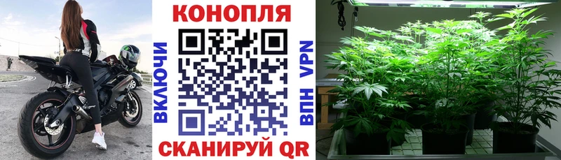 Канабис тримм Пудож